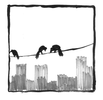 Ink Drawing. Bird on a Wire
