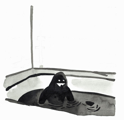 Ink Drawing